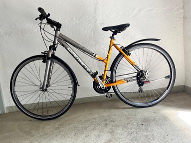 Damenfahrrad  (Foto: )