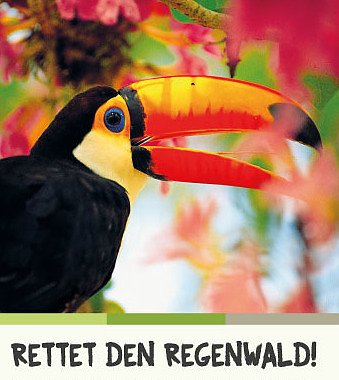 Anzeige (Foto: regenwald.org)