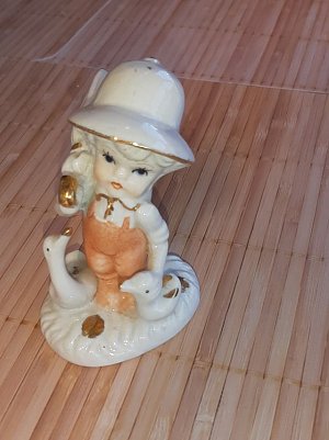 G&auml;nsehirte (Foto: )