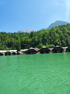 Freizeitpartnerin  (Foto: )