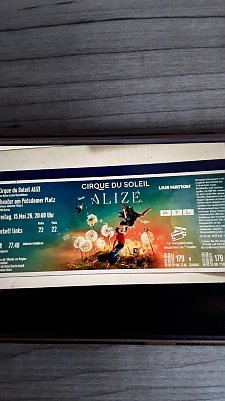 Eintrittskarte (Foto: )