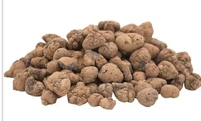 40L Bl&auml;hton (Foto: )