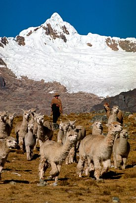 Bild: Vortrag &uuml;ber Peru