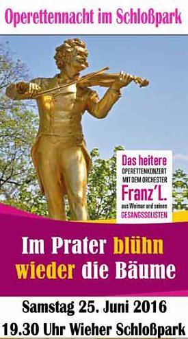 Bild: Die Operettennacht im Schlosspark Wiehe