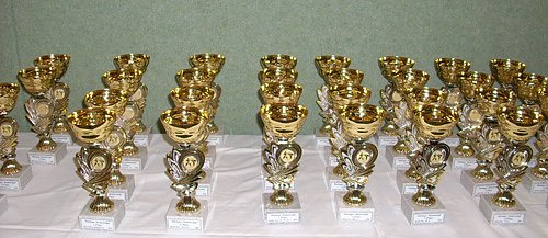 Pokale Karate (Foto: Karl-Heinz Herrmann)