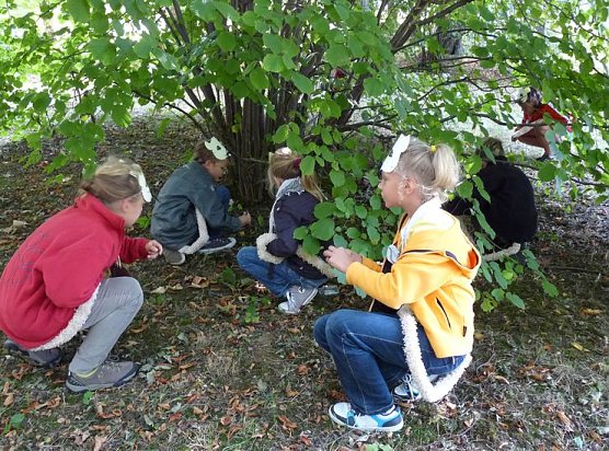 N&uuml;sse sammeln (Foto: NABU)