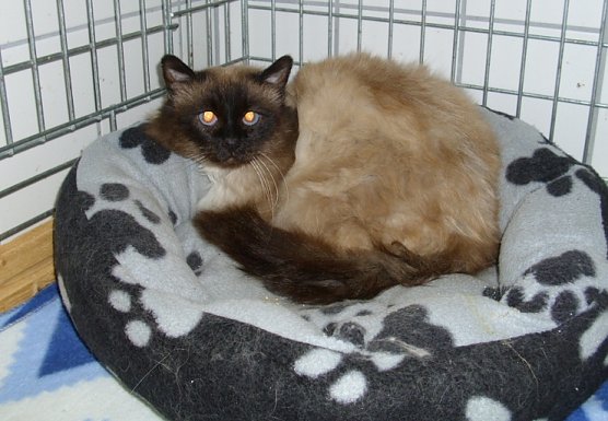 Mark (Foto: C. Knust)