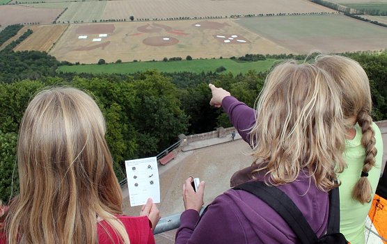 Das Bild ist er&ouml;ffnet (Foto: privat)