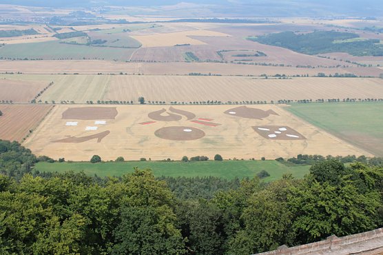 Letzte Chancen (Foto: Kyffhäuser Tourismusverband) Letzte Chancen (Foto: Kyffhäuser Tourismusverband)