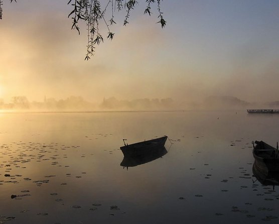 Herbstnebel (Foto: DWD)