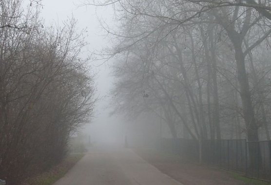 Herbstwetter (Foto: nnz)