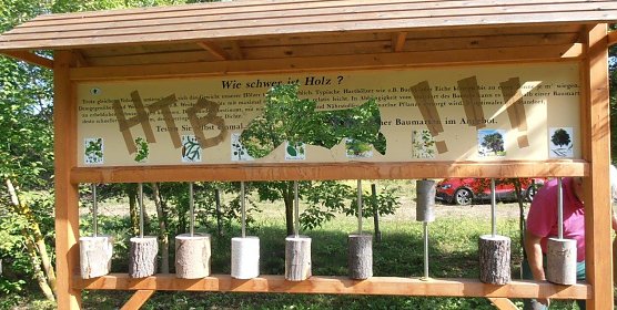 Wie schwer ist Holz?, wird hier gefragt. Das "Gr&uuml;ne Klassenzimmer" bei Hettstedt war eine sch&ouml;ne Sache, doch gewissenlose Menschen haben st&auml;ndig ihre Zerst&ouml;rungswut daran ausgelassen. (Foto: Christin Saalbach)