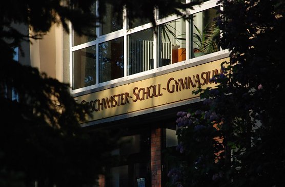 Wird in den kommenden Ferienwochen umfangreich saniert: das Geschwister-Scholl-Gymnasium in Sangerhausen. Neben anderem werden hier in sechs Klassenr&auml;umen neue Brandschutzunterdecken eingebaut. (Foto: Jochen Miche)
