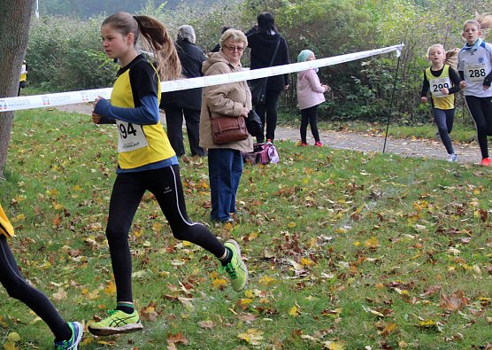 Stadtparklauf (Foto: Karl-Heinz Herrmann) Stadtparklauf (Foto: Karl-Heinz Herrmann)
