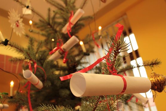 Der Wunschzettelbaum im B&uuml;rgerb&uuml;ro (Foto: Stadtverwaltung Hettstedt)