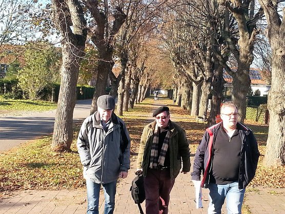 Unter Linden. Norbert Worch von der Kelbraer B&uuml;rgerinitiative, Peter Frobel von Pro Baum und Jens Diederichs, Mitglied des Landtages, auf der Suche nach L&ouml;sungen f&uuml;r eine baldige Pflege der Allee. (Foto: Jochen Miche)
