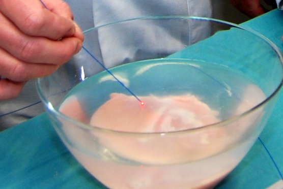 Laserdemonstration an H&auml;hnchenfleisch (Foto: Helios/G. Lakomy)