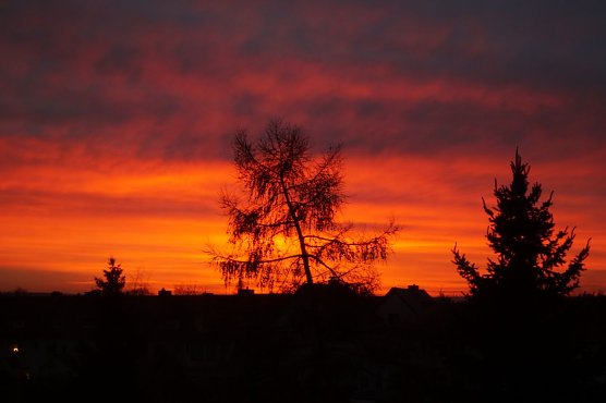 Brennender Himmel &uuml;ber Nordhausen (Foto: privat)