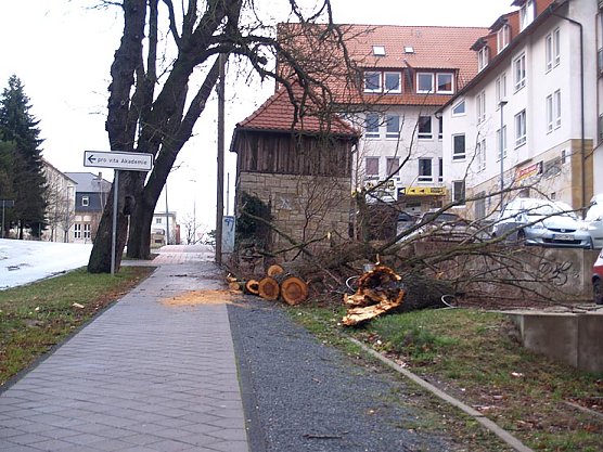 Der Tag danach in Nordhausen (Foto: nnz)