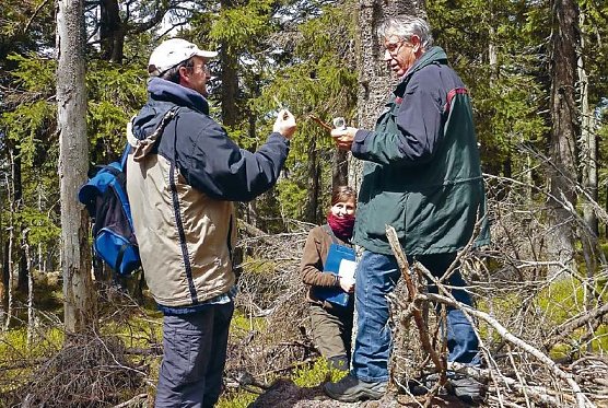 Forschung und Dokumentation im Mittelpunkt (Foto: Nationalpark Harz)