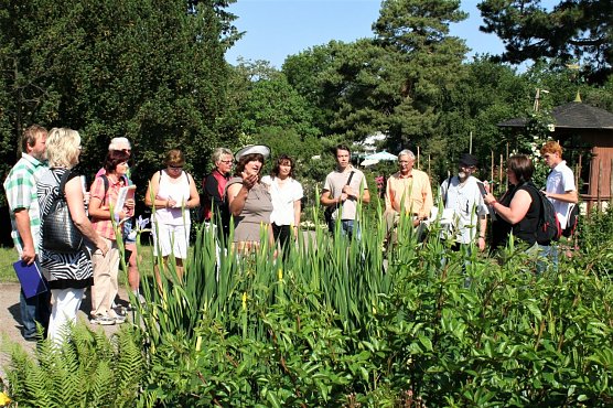 F&uuml;hrungen durch das Rosarium sind sehr beliebt (Foto: Rosenstadt GmbH/K. Thom)