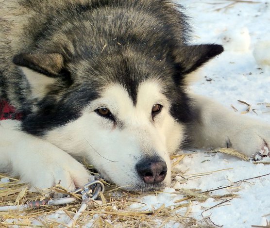 Warten auf das Wochenende (Foto: privat/Veranstalter)