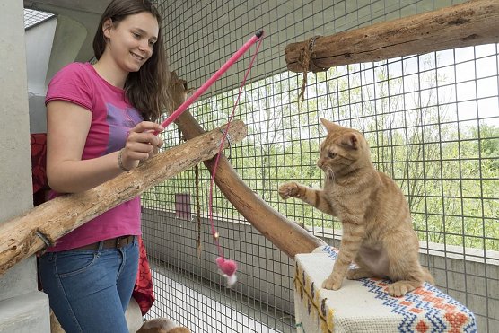 Tierschutzpreis f&uuml;r Jugendliche (Foto: Deutscher Tierschutzbund)