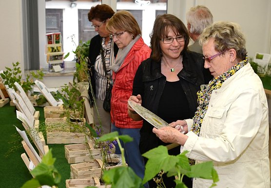 Ausstellung (Foto: Heinz Noack)