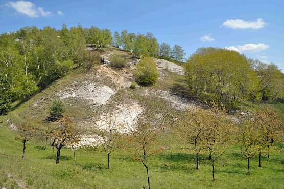 Vortragsabend zur Kyffhäuserregion (Foto: Regionalmuseum / Dieter Jumtow) Vortragsabend zur Kyffhäuserregion (Foto: Regionalmuseum / Dieter Jumtow)