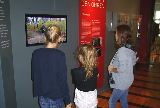 Neues von den Fledermäusen der Kyffhäuserregion (Foto: Regionalmuseum Bad Frankenhausen) Neues von den Fledermäusen der Kyffhäuserregion (Foto: Regionalmuseum Bad Frankenhausen)