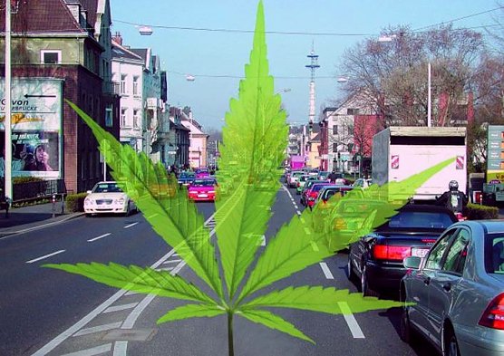 Fahrt&uuml;chtig mit medizinischem Cannabis? (Foto: DVR)