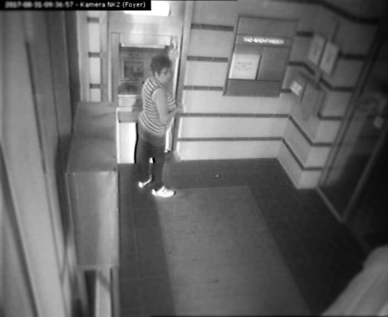 Fahndungsbild (Foto: Polizei MSH)