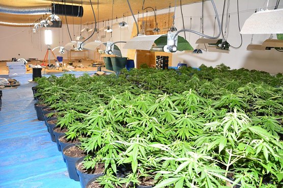 Drogen sichergestellt (Foto: Polizei MSH)