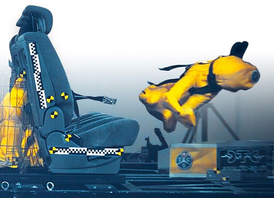 Getestet (Foto: Stiftung Warentest)