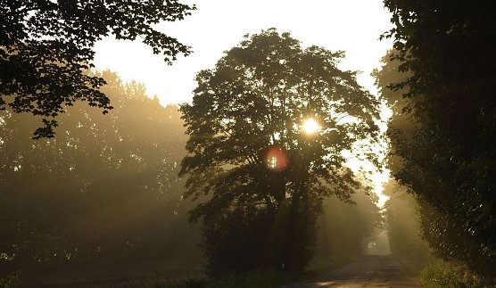 Wetterbild (Foto: Gernot Thelemann)