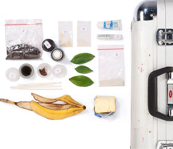 Koffer der Tester: Mit exakt portioniertem Material pr&auml;parierten die Tester ihr Heim. Darunter Schoko&shy;creme, &Ouml;l und Sand. (Foto: Stiftung Warentest)