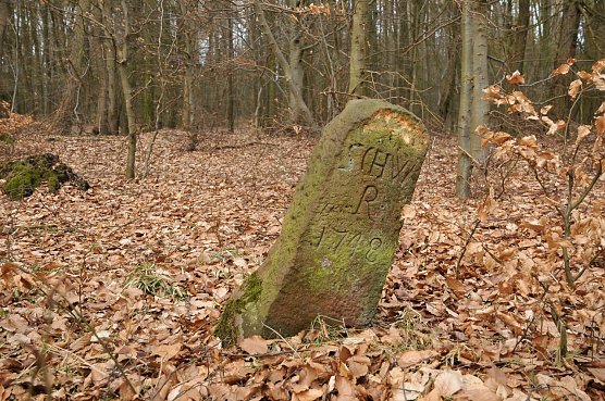 Ein Grenzstein im Breitunger Gemeindewald aus dem Jahre 1748 (Foto: Heinz Noack)