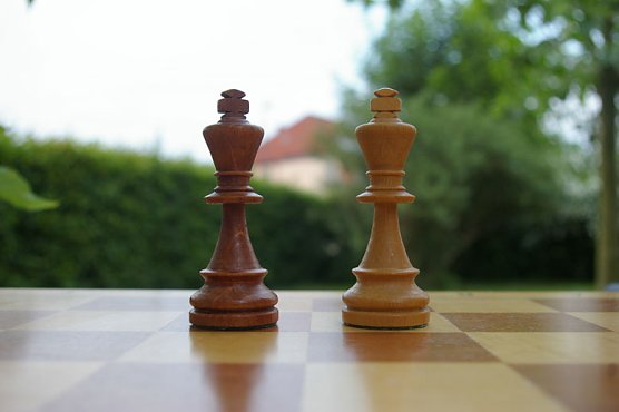 Schachfestival in Bad Frankenhausen (Foto: privat) Schachfestival in Bad Frankenhausen (Foto: privat)