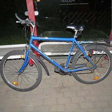 Eigent&uuml;mer gesucht (Foto: Polizei MSH)