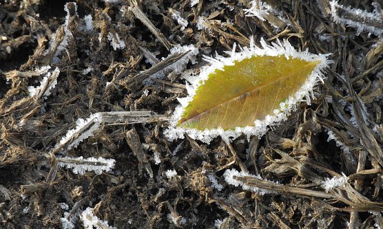 herbst (Foto: biosph&auml;renreservat MSH)
