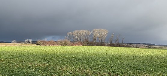 wetter (Foto: oas) wetter (Foto: oas)