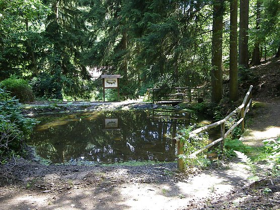 Der Harzgarten in Stolberg soll wieder hergerichtet werden (Foto: Biosph&auml;renreservat Karstlandschaft S&uuml;dharz)