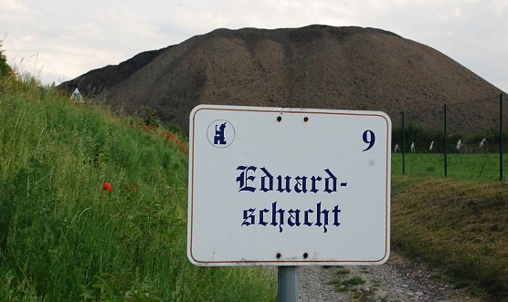 Der &ouml;stliche Ausl&auml;ufer der Halde des Eduardschachtes. Die Halde steht nun zum Verkauf. (Foto: J. Miche)