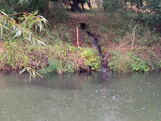 Gewässerschädigende Stoffe in der Helme? (Foto: Sven Hildebrand) Gewässerschädigende Stoffe in der Helme? (Foto: Sven Hildebrand)