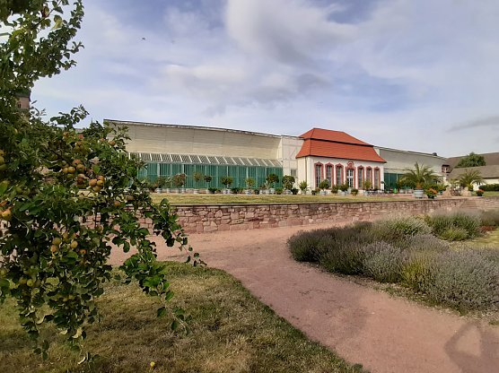 1. Tomatentag in Bendeleben (Foto: Verein) 1. Tomatentag in Bendeleben (Foto: Verein)