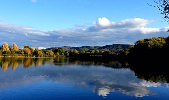 Goldener Herbst (Foto: P.Blei)