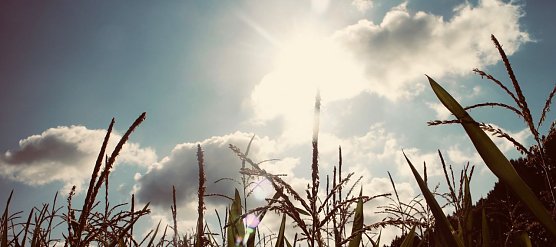 Attributionsforschung: Was w&auml;re, wenn�? (Foto: nnz-Archiv)