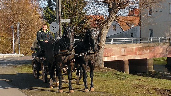 Sven Koch mit Gespann  (Foto: U. Reinboth )