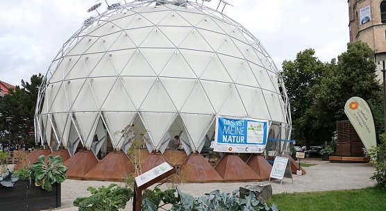 Der klimapavillon in der Nordhäuser Altstadt (Foto: A.Apel) Der klimapavillon in der Nordhäuser Altstadt (Foto: A.Apel)
