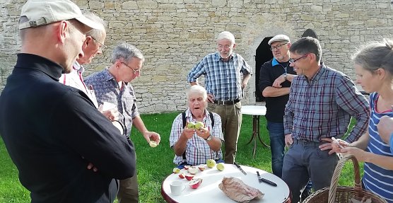 Oma wei&szlig; noch, wie die alten Sorten hei&szlig;en. Mehr dazu am n&auml;chsten Sonntag ins Bendeleben (Foto: K.Stiehler)